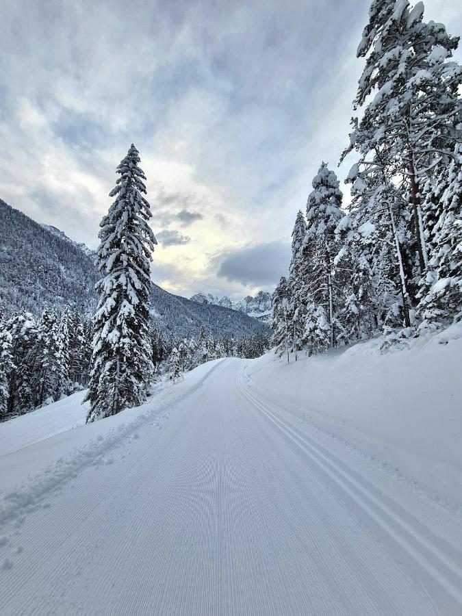 Chalet Camporosso Camporosso  Eksteriør billede